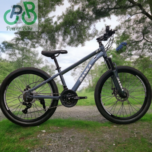 Danka Велосипед с дискови спирачки и амортисьори модел Q1 24" цвят графит