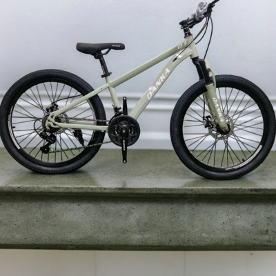 Danka Велосипед с дискови спирачки и амортисьори модел Q1 24'' цвят сив